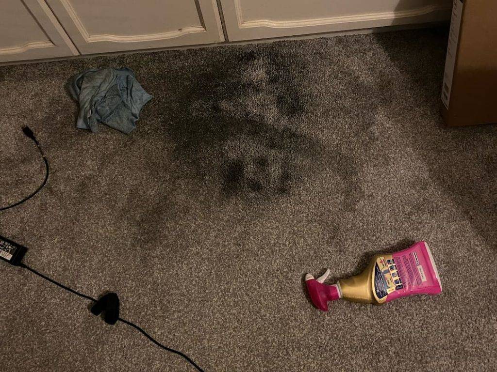 Carpet Stains Before